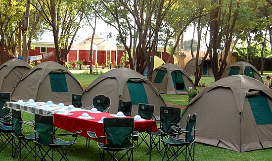 8 Days Budget Camping Safari - Tsavo East, Tsavo West, Amboseli, Masai Mara and Lake Nakuru